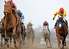 Equine Fatal Injury Rate is Steady in 2012 Equine Fatal Injury Rate is Steady in 2012