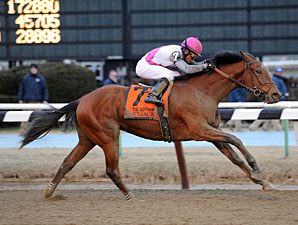 Vyjack Makes Big Impact With Late Gotham Run Vyjack Makes Big Impact With Late Gotham Run