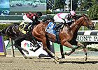 Vyjack Ends Stakes Drought in Kelso Victory Vyjack Ends Stakes Drought in Kelso Victory