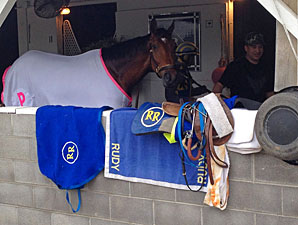 Vyjack Would Love to Follow Funny Cide's Path Vyjack Would Love to Follow Funny Cide's Path
