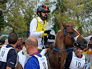 Sheikh Mohammed Finishes Second in Endurance Sheikh Mohammed Finishes Second in Endurance