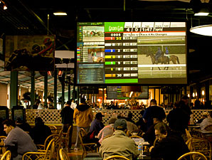 Exchange Wagering Grilled at CHRB Meeting Exchange Wagering Grilled at CHRB Meeting