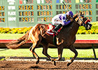 Wake Up Nick Wins Again in Barretts Juvenile Wake Up Nick Wins Again in Barretts Juvenile