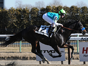Nine Sprinters to Vie in Fall Highweight Nine Sprinters to Vie in Fall Highweight
