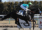 Nine Sprinters to Vie in Fall Highweight Nine Sprinters to Vie in Fall Highweight