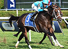 Wallyanna Lights Up Hall of Fame Stakes Wallyanna Lights Up Hall of Fame Stakes