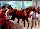 Keeneland September Sale: Walt Robertson Keeneland September Sale: Walt Robertson