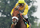 Wanderin Boy Tops Balanced Cigar Mile