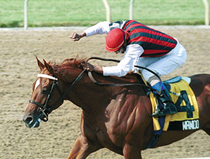 Wando, 2003 Canadian Horse of the Year, Dies Wando, 2003 Canadian Horse of the Year, Dies