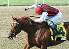 Wando, 2003 Canadian Horse of the Year, Dies Wando, 2003 Canadian Horse of the Year, Dies