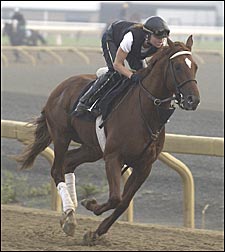 Seven Rivals Hope to Spoil Wando's Canadian Triple Crown Bid Seven Rivals Hope to Spoil Wando's Canadian Triple Crown Bid
