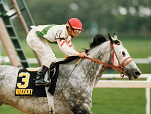 Waquoit's Sloppy Gold Cup Remembered Waquoit's Sloppy Gold Cup Remembered