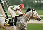 Waquoit's Sloppy Gold Cup Remembered Waquoit's Sloppy Gold Cup Remembered