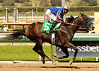 War Academy Ready for Big Test, Baffert Says War Academy Ready for Big Test, Baffert Says