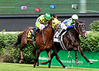 War Dancer Prevails in Louisville Thriller War Dancer Prevails in Louisville Thriller