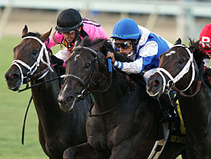 War Dancer Gets Bob in Virginia Derby Photo War Dancer Gets Bob in Virginia Derby Photo
