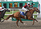 War Echo Rallies to Take Silverbulletday