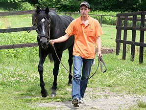 War Emblem Filly Scores Big in Japan War Emblem Filly Scores Big in Japan