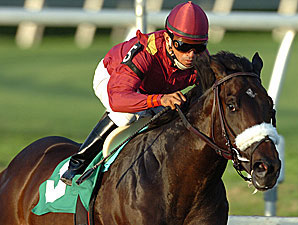 War Pass Injured, Out of Kentucky Derby War Pass Injured, Out of Kentucky Derby