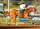 Improving Warren's Veneda Wins Santa Maria Improving Warren's Veneda Wins Santa Maria