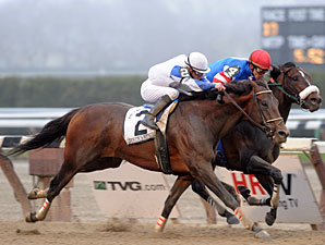 Warrior's Reward Edges Musket Man in Carter Warrior's Reward Edges Musket Man in Carter