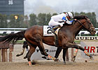 Strong Crew Takes on Churchill Downs Stakes Strong Crew Takes on Churchill Downs Stakes
