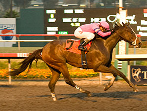 Hollendorfer's Pair Looks Strong in Bayakoa Hollendorfer's Pair Looks Strong in Bayakoa
