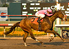 Hollendorfer's Pair Looks Strong in Bayakoa Hollendorfer's Pair Looks Strong in Bayakoa