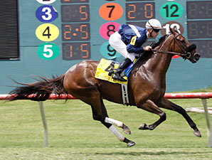 Wasted Tears Wins Third Straight Ouija Board Wasted Tears Wins Third Straight Ouija Board