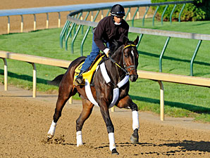 Foaling Dates of Derby Contenders Foaling Dates of Derby Contenders