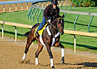 Foaling Dates of Derby Contenders Foaling Dates of Derby Contenders