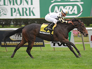 Watsdachances Has Good Shot in Sands Point Watsdachances Has Good Shot in Sands Point