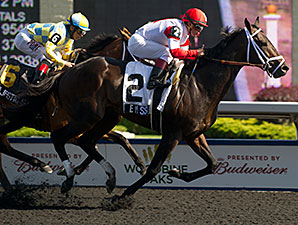 We Miss Artie Big Favorite in Queen's Plate We Miss Artie Big Favorite in Queen's Plate