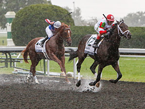 BC Juvenile Contender Smarty's Echo Breezes BC Juvenile Contender Smarty's Echo Breezes