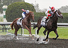 BC Juvenile Contender Smarty's Echo Breezes BC Juvenile Contender Smarty's Echo Breezes