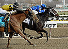 Wedding Toast Hangs On to Win Comely Wedding Toast Hangs On to Win Comely