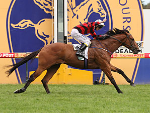 Superb Triumph for Weekend Hussler Superb Triumph for Weekend Hussler
