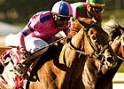 Weemissfrankie to Undergo Leg Surgery