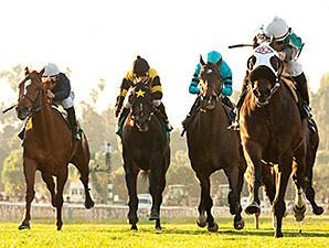 Weewinnin, Ciao Bella Luna Post Cup Turf Wins Weewinnin, Ciao Bella Luna Post Cup Turf Wins