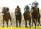 Weewinnin, Ciao Bella Luna Post Cup Turf Wins Weewinnin, Ciao Bella Luna Post Cup Turf Wins