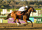 Dirt Mile: Pool Party
