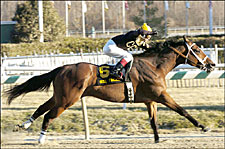 New York Shipper Fancies Laurel Park, Wins General George New York Shipper Fancies Laurel Park, Wins General George