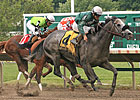 Well Spelled Aces Jersey Shore Stakes Well Spelled Aces Jersey Shore Stakes