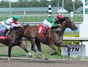 Motion Looking to Spiral Into the Derby Again Motion Looking to Spiral Into the Derby Again
