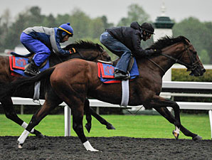 Went The Day Well Breezes at Rainy Keeneland Went The Day Well Breezes at Rainy Keeneland