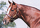 Werblin Sires First Winner Werblin Sires First Winner