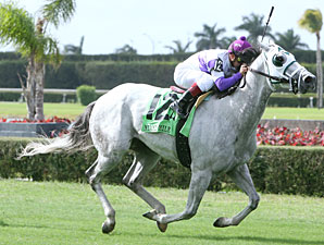 Wesley Sweeps to Miami Mile Win Wesley Sweeps to Miami Mile Win