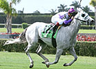 Options Galore in 13-Horse Dixie Lineup Options Galore in 13-Horse Dixie Lineup