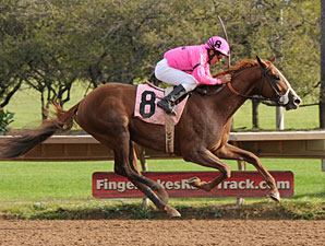 West Hills Giant Returns to Turf for Pilgrim West Hills Giant Returns to Turf for Pilgrim