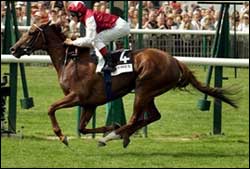 West Wind Breezes to French Oaks Victory West Wind Breezes to French Oaks Victory